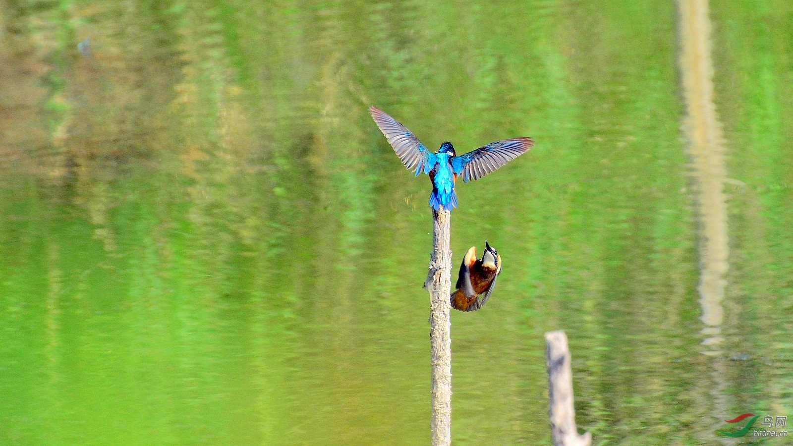 DSC_5611.JPG