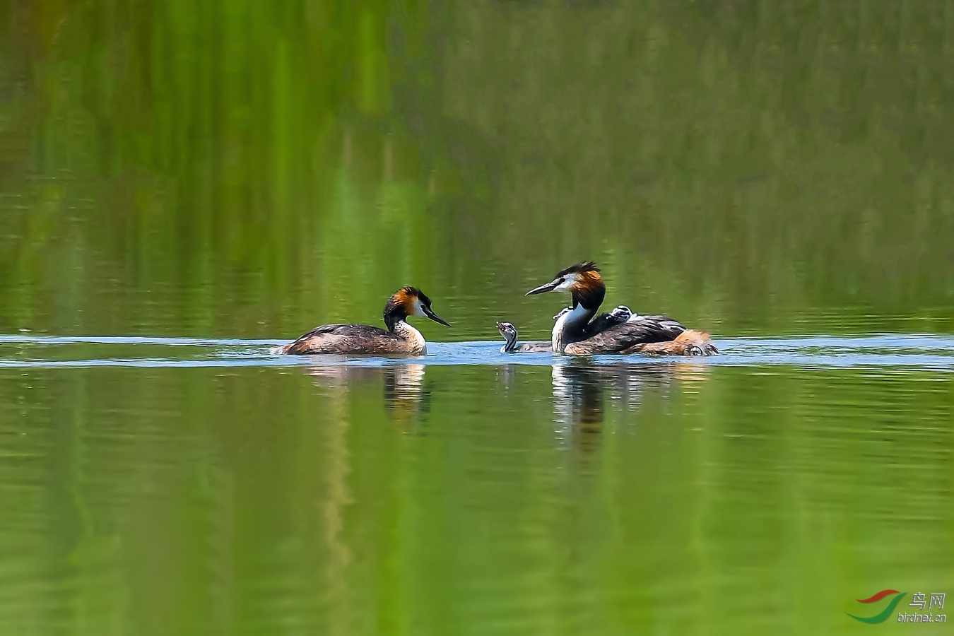 DSC_6803_1����.jpg