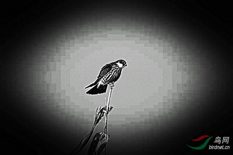 4K0A0144_����_����2_����.jpg