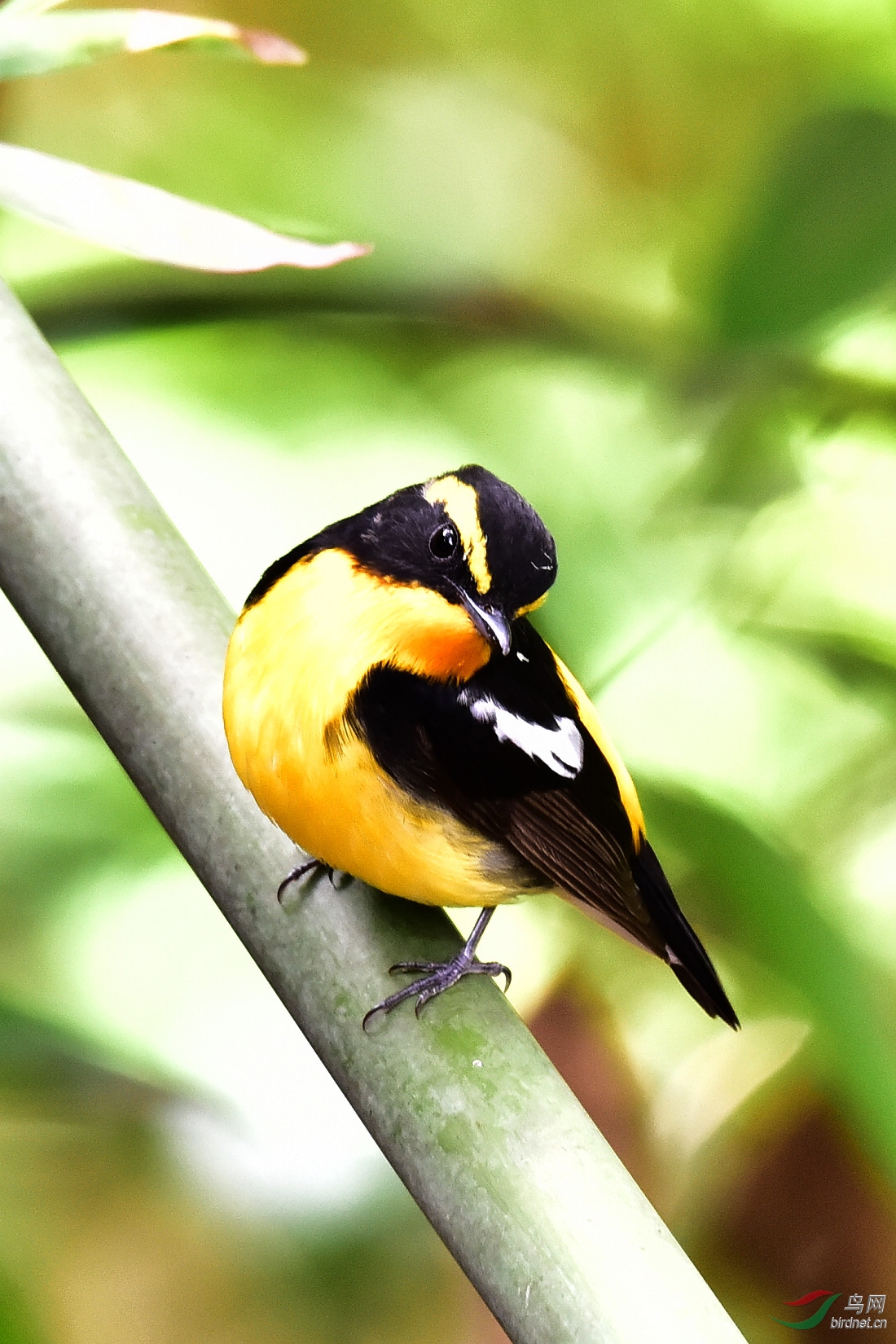 DSC_0067.JPG