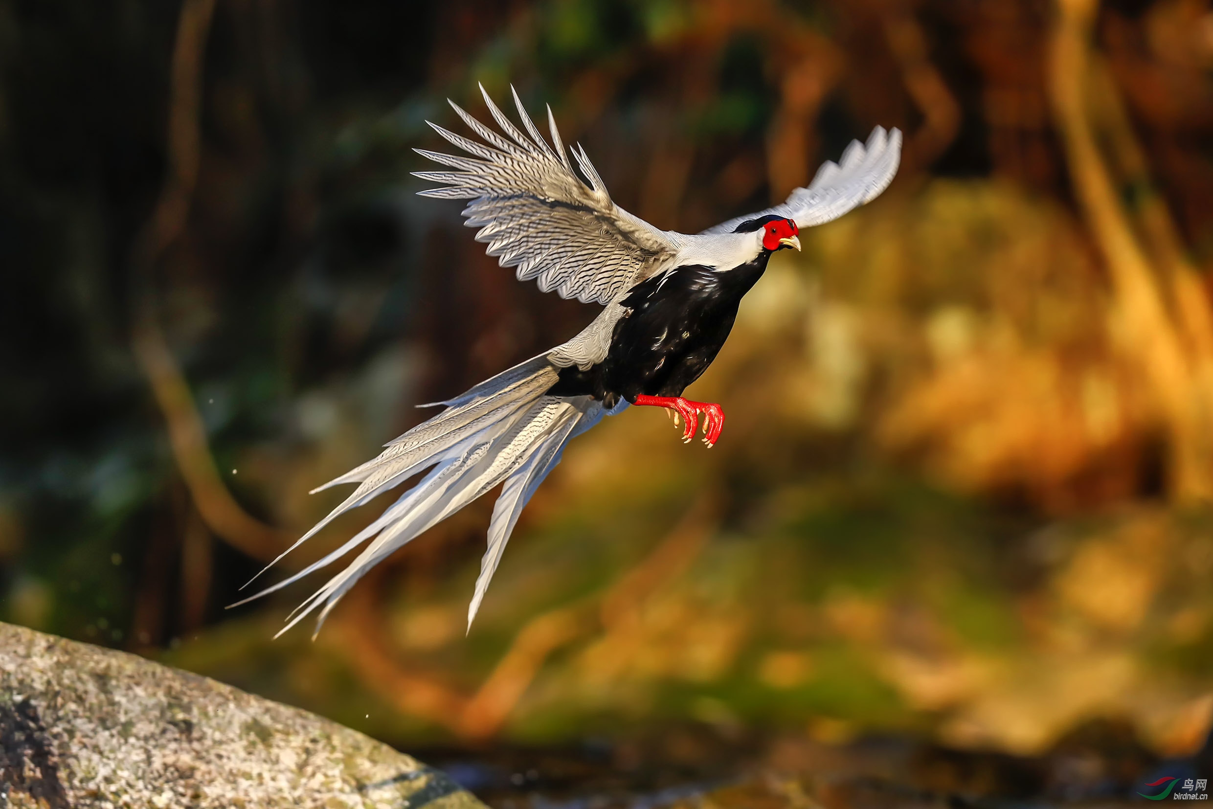 ���� (303)x.jpg