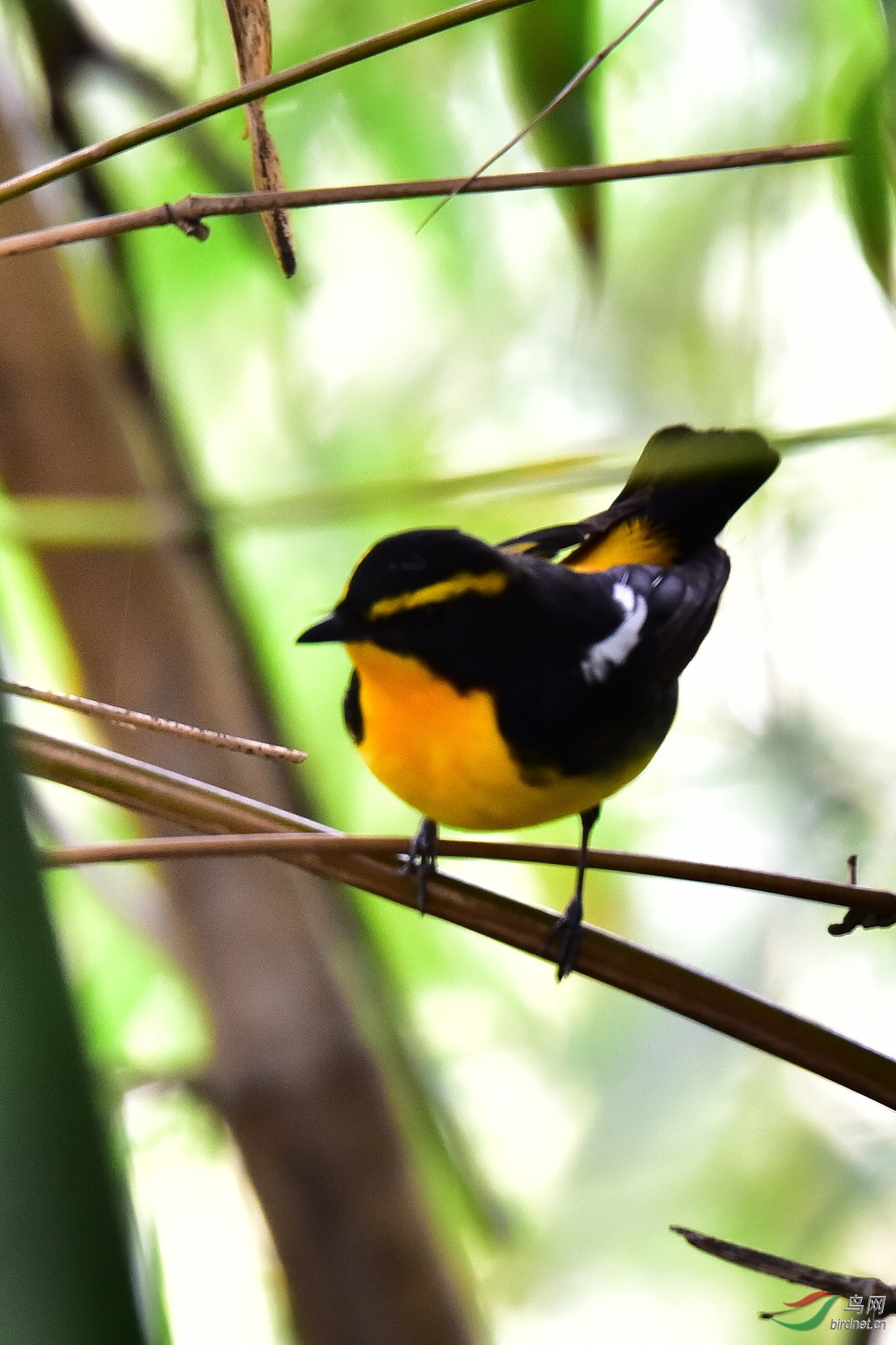 DSC_0073.JPG