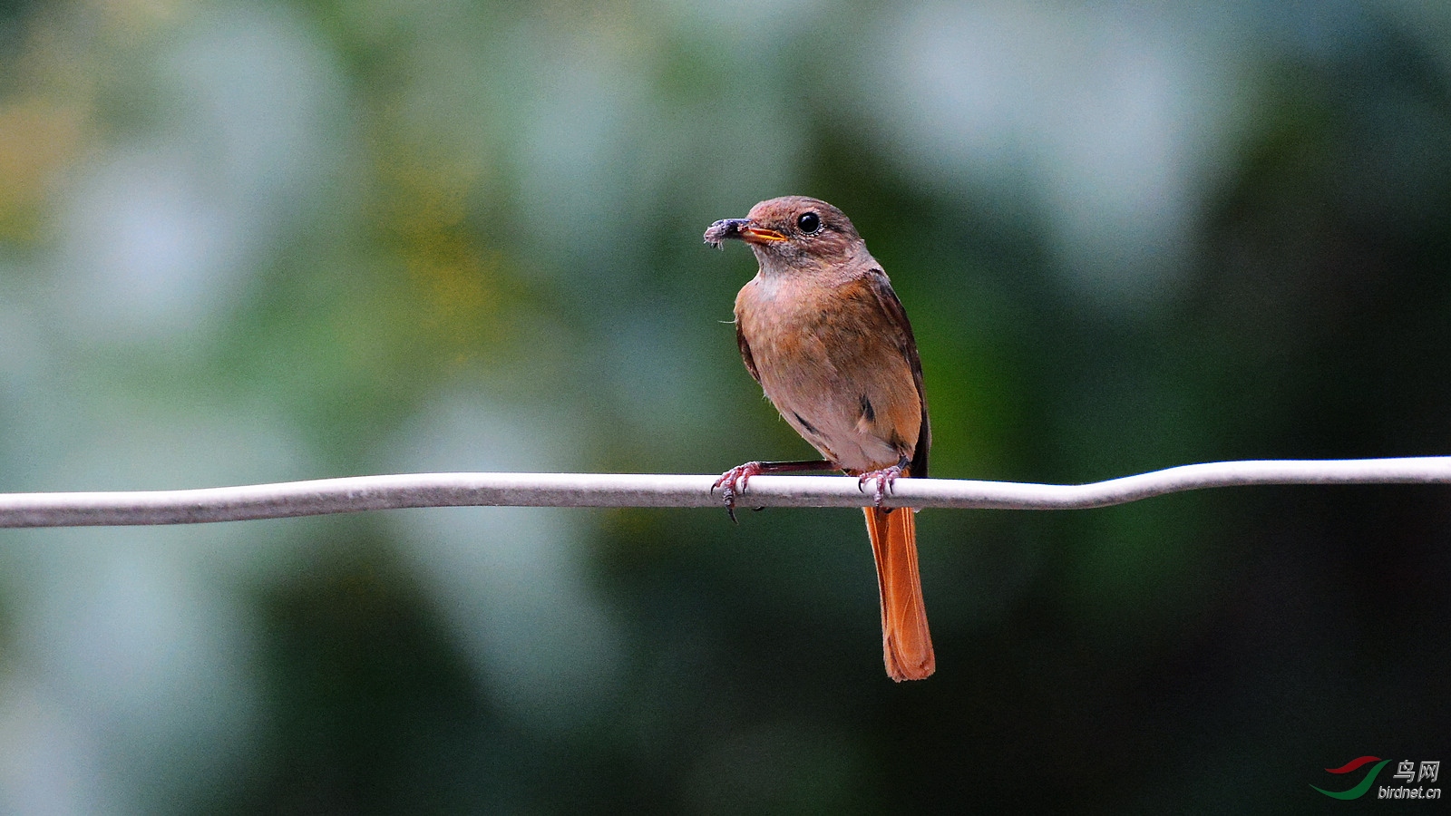 DSC_8531.JPG