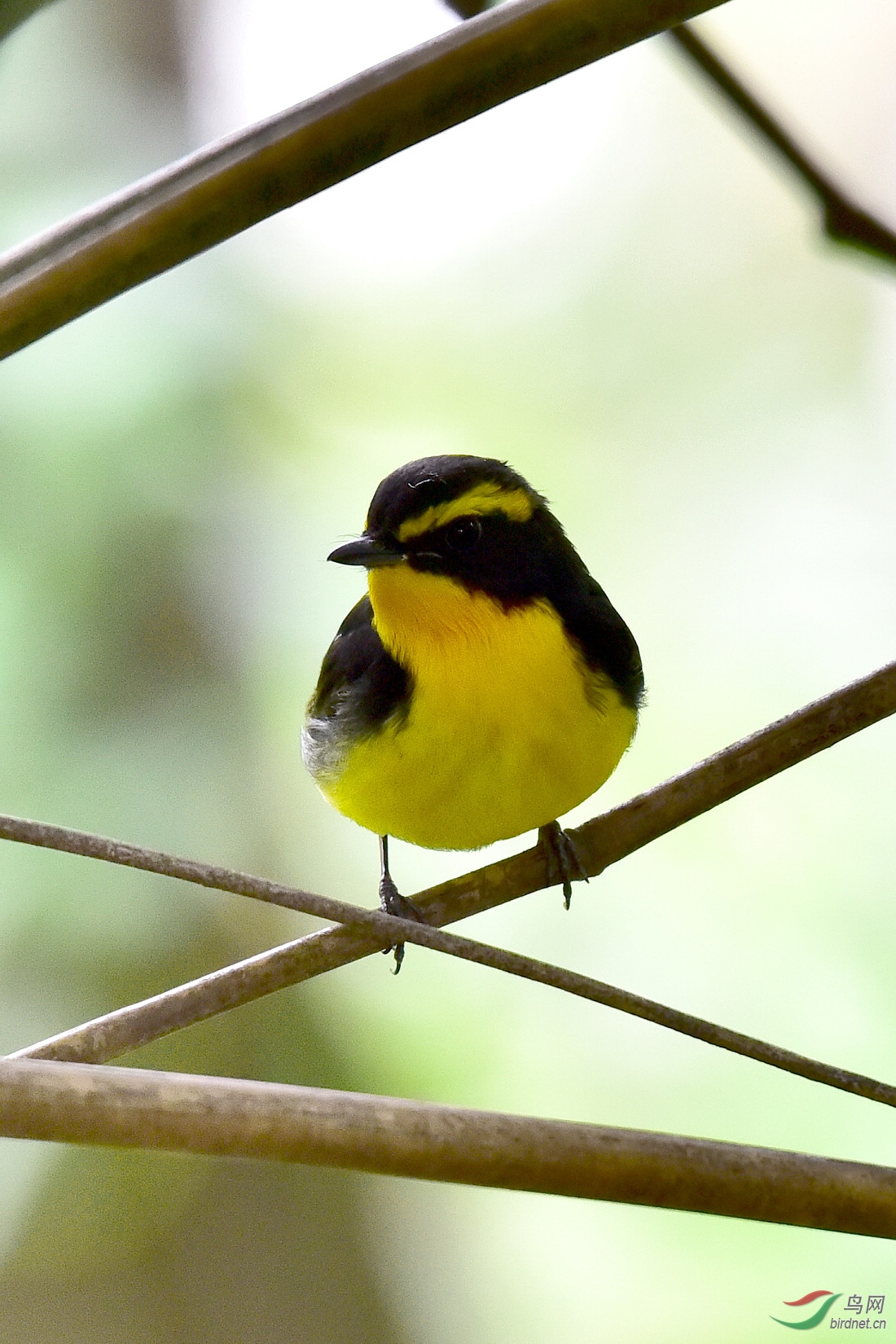 DSC_0077.JPG