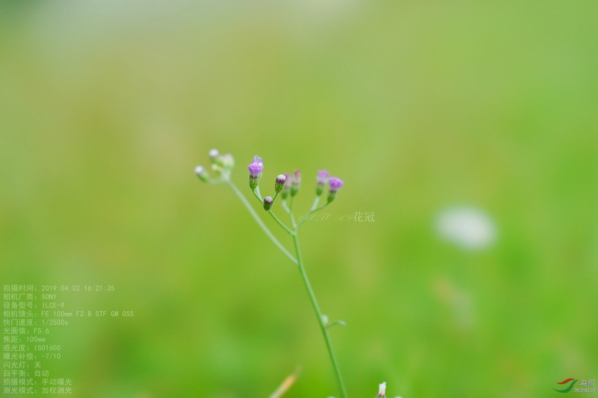 DSC00143B-1_����_����.jpg