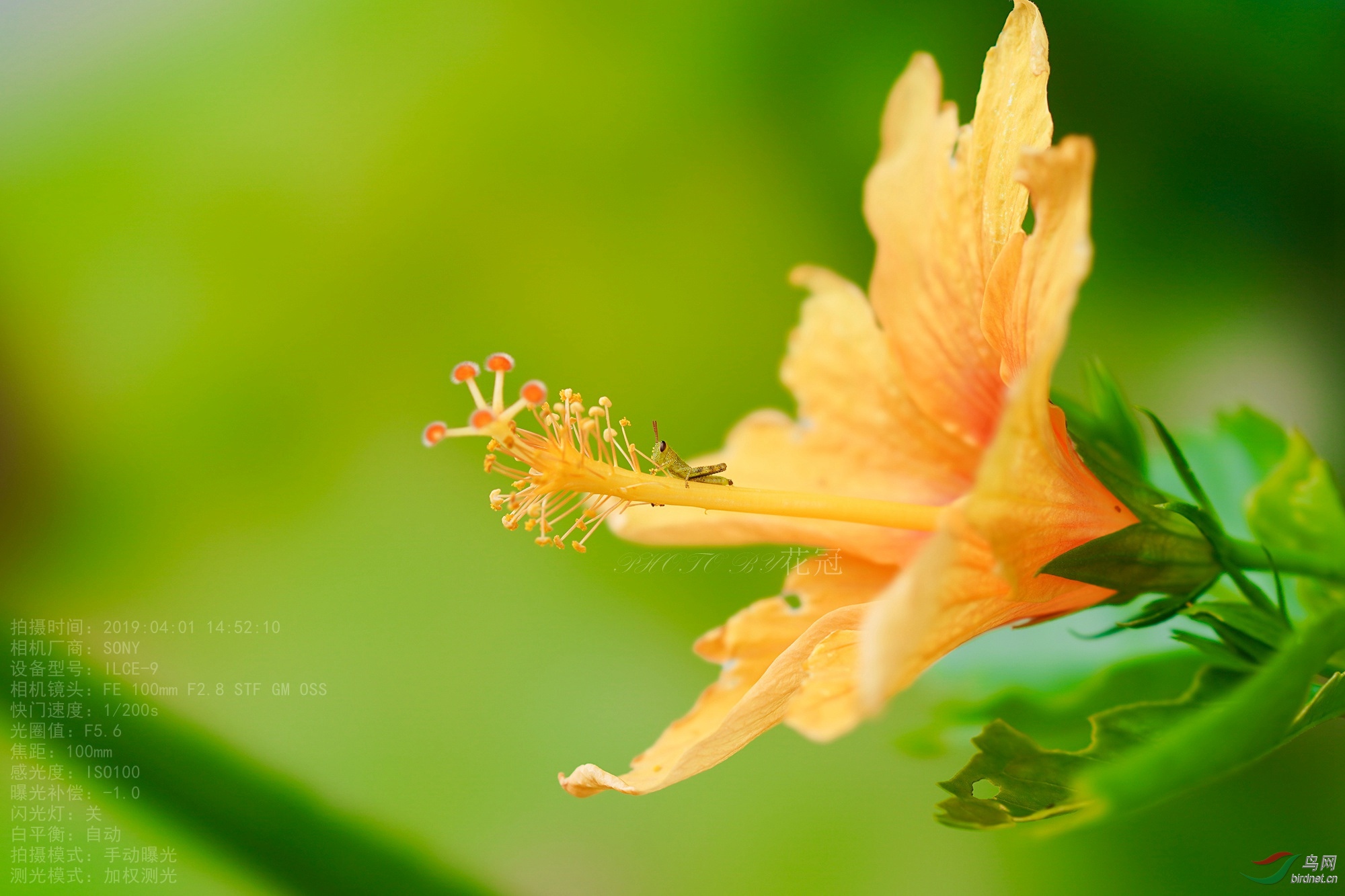 DSC09856B-1_����_����.jpg