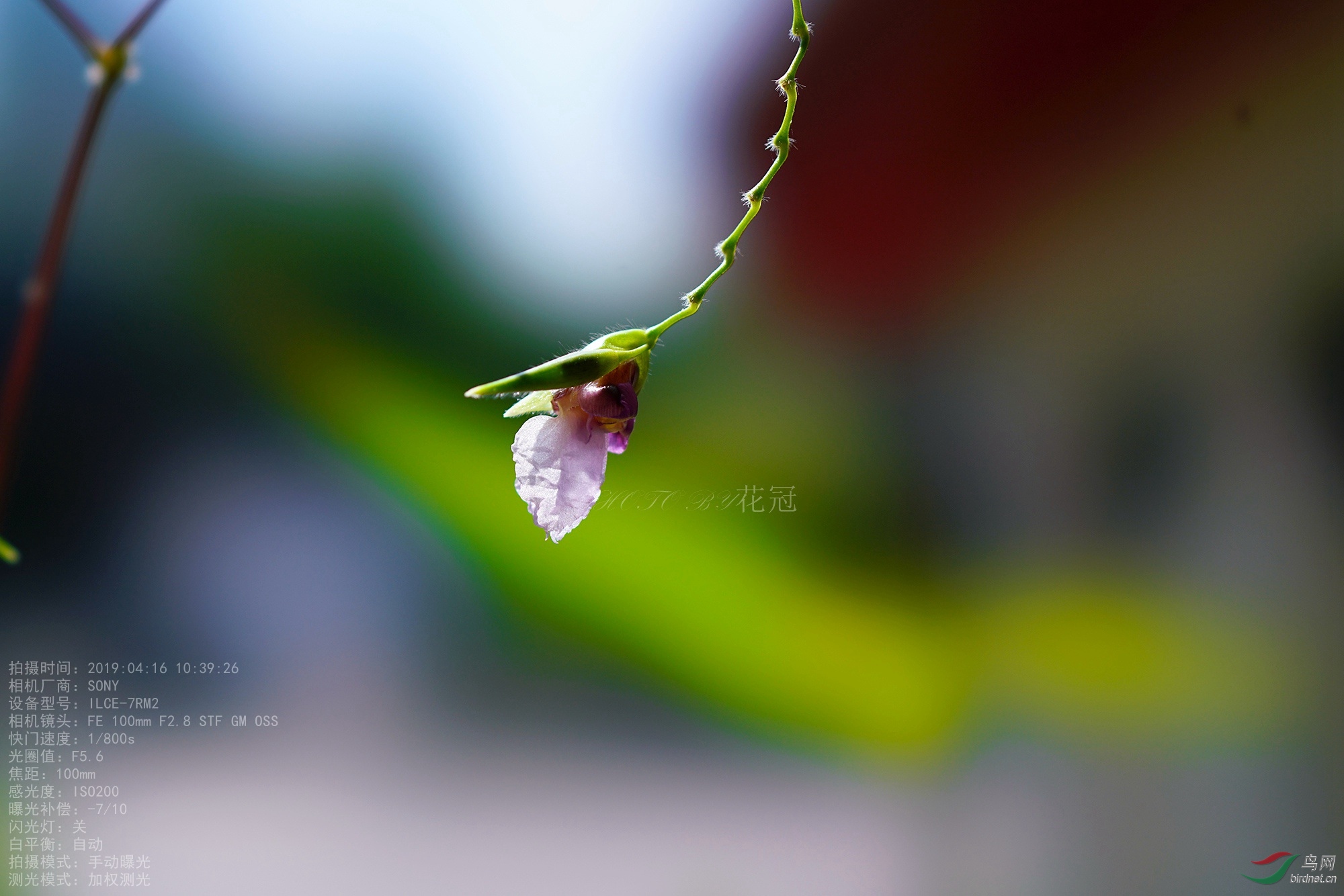 DSC00394B-1_����_����.jpg