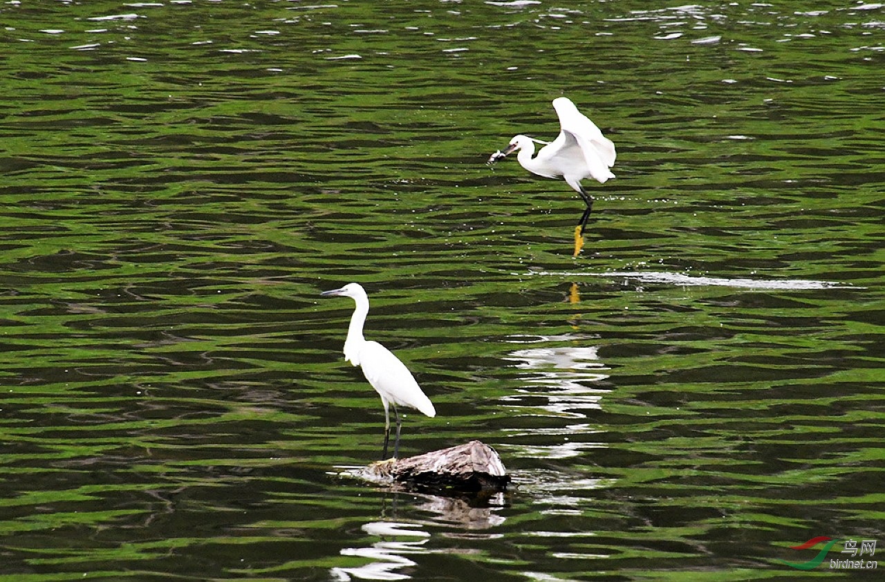 DSC_0609.jpg