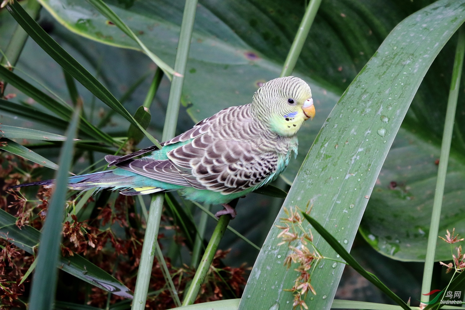 IMG_0074.JPG
