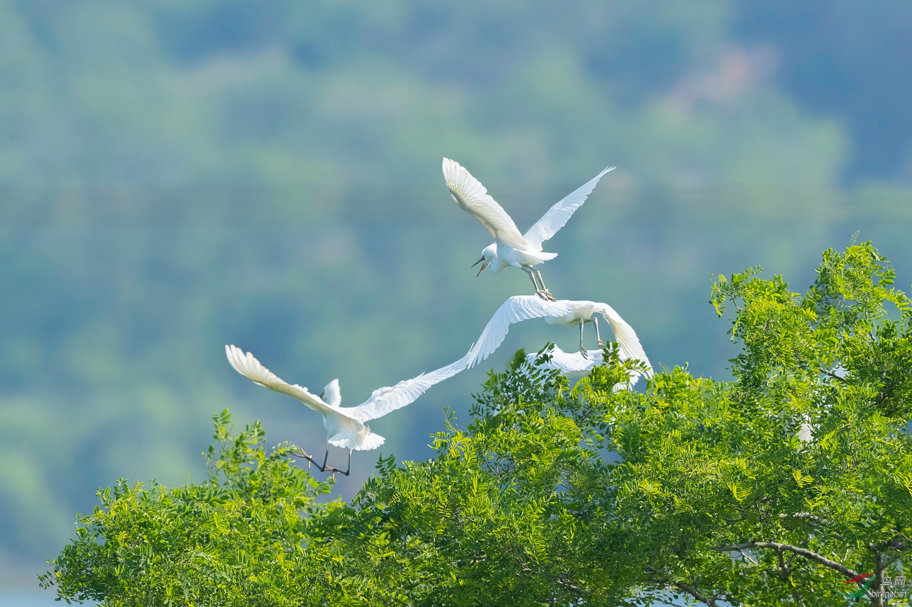 _K8I6258  01_����.jpg