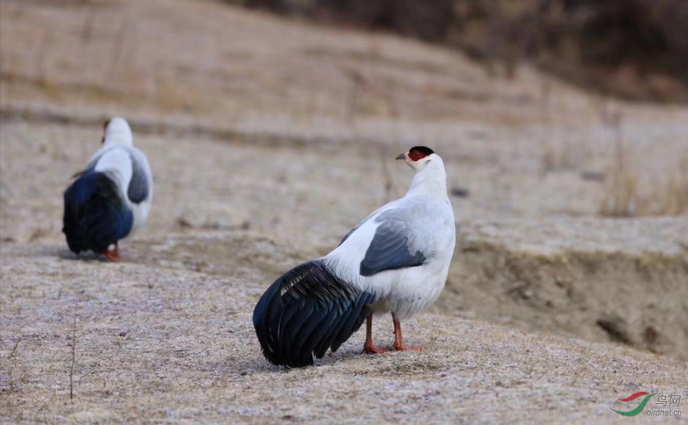 _2018121814302327 (11).jpg