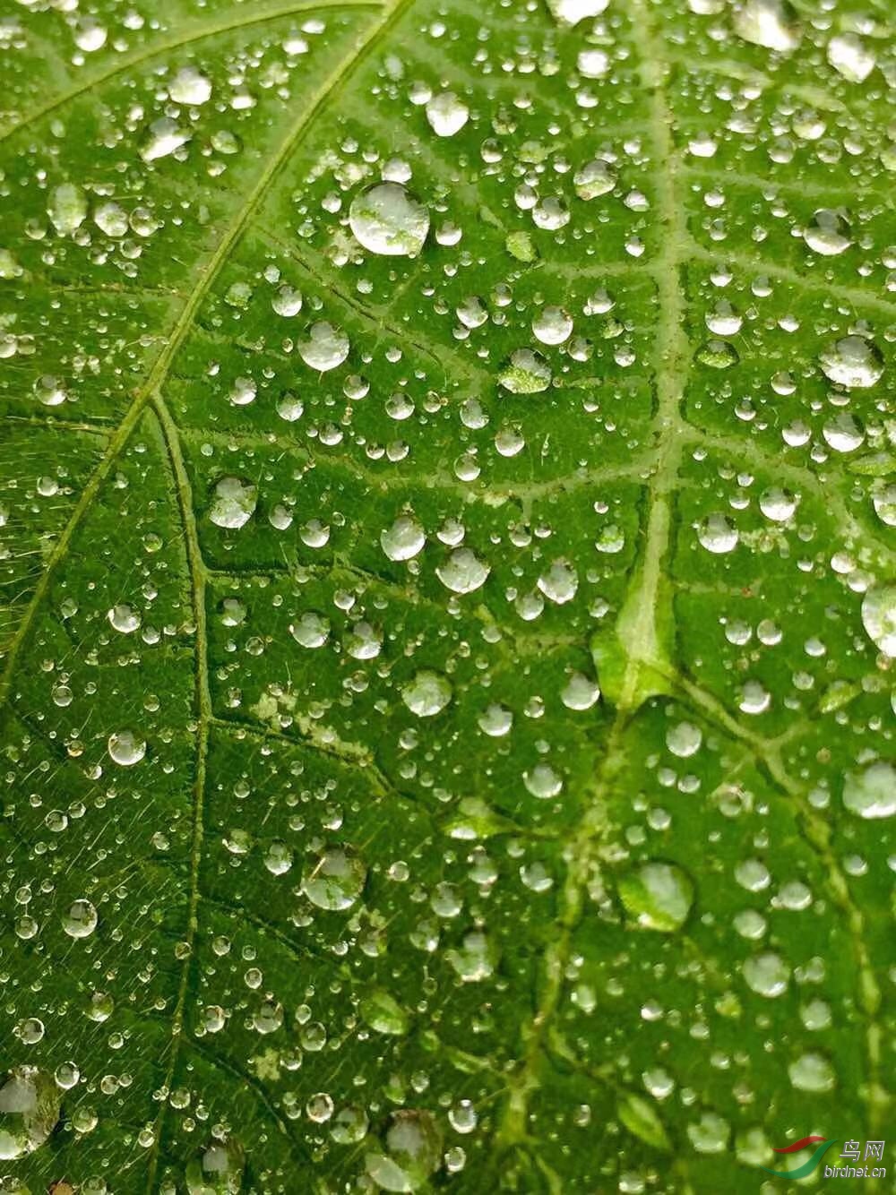 _2018121814302327 (14).jpg