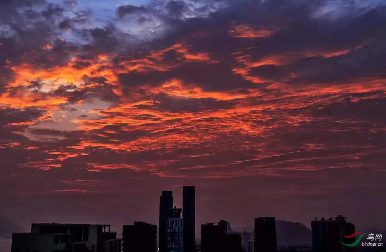 _2018121814302327 (9).jpg