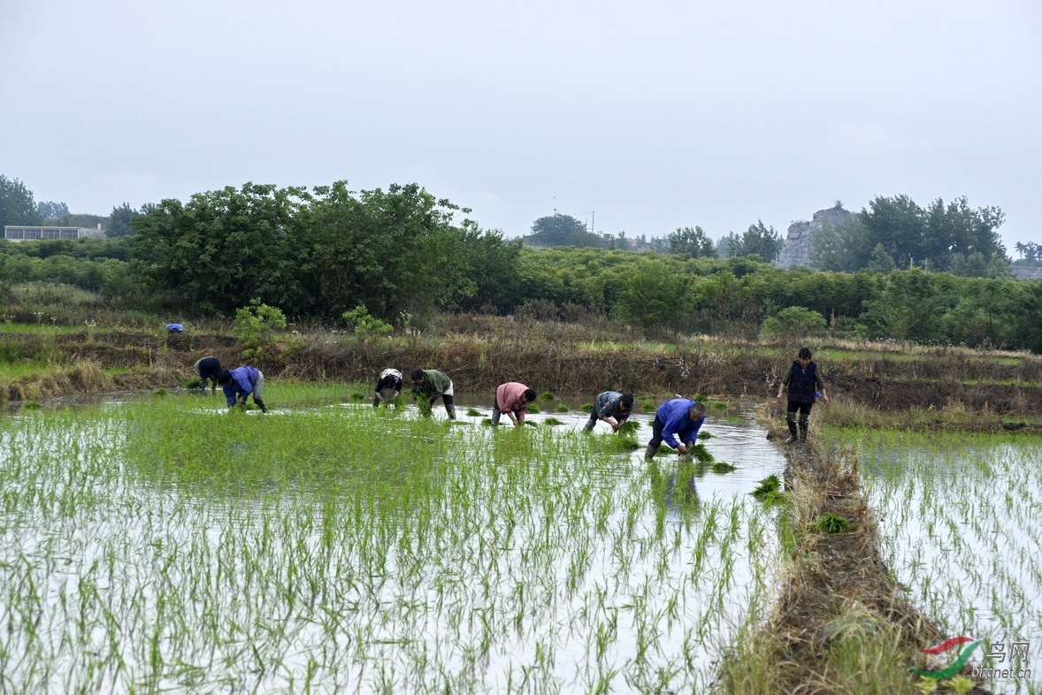 ���� _1080558.jpg