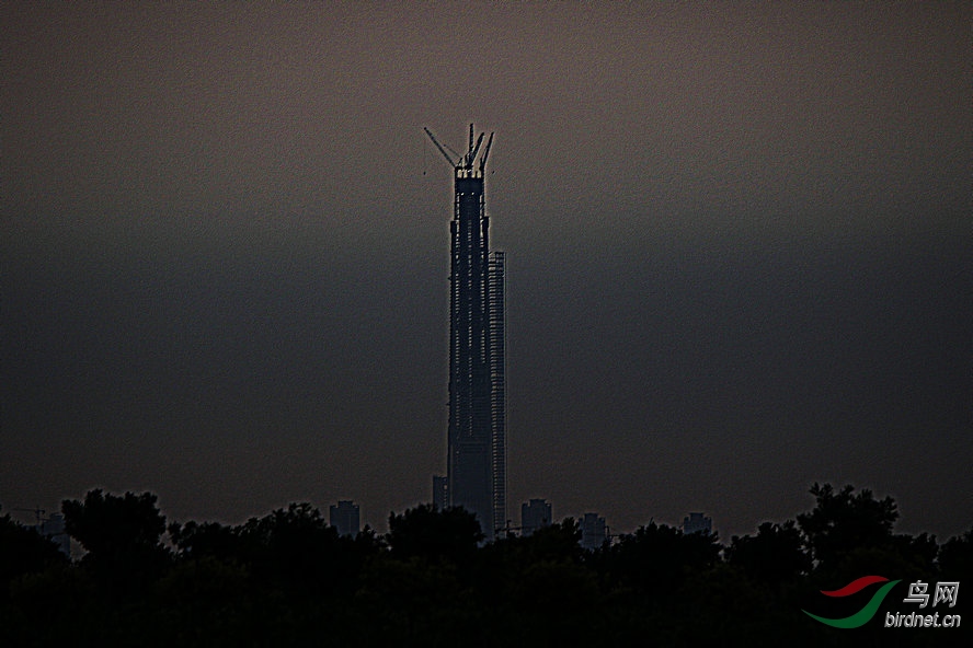 4K0A8170_����_����.jpg