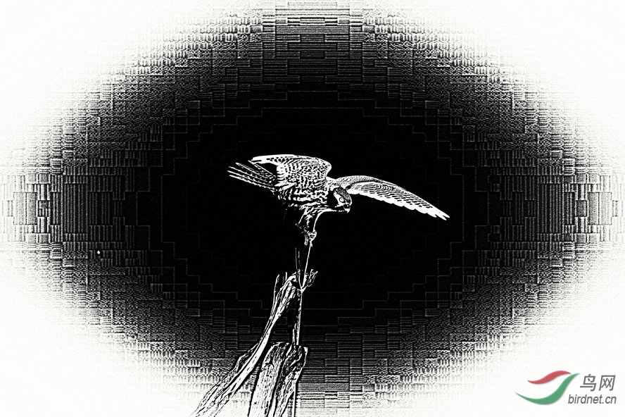 4K0A0411_����_����1_����1_����.jpg