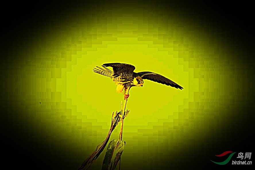 4K0A0411_����_����.jpg