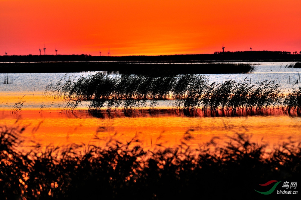 DSC_8647.JPG