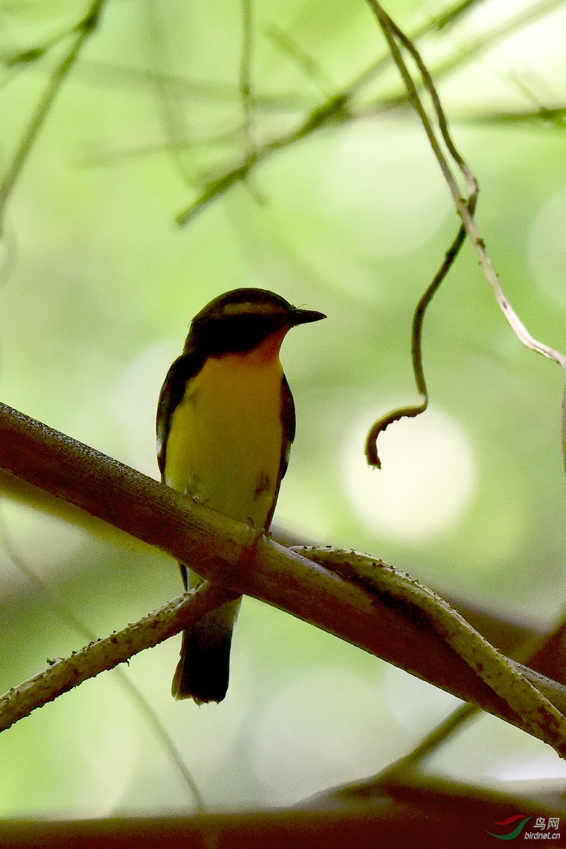 DSC_0091.JPG