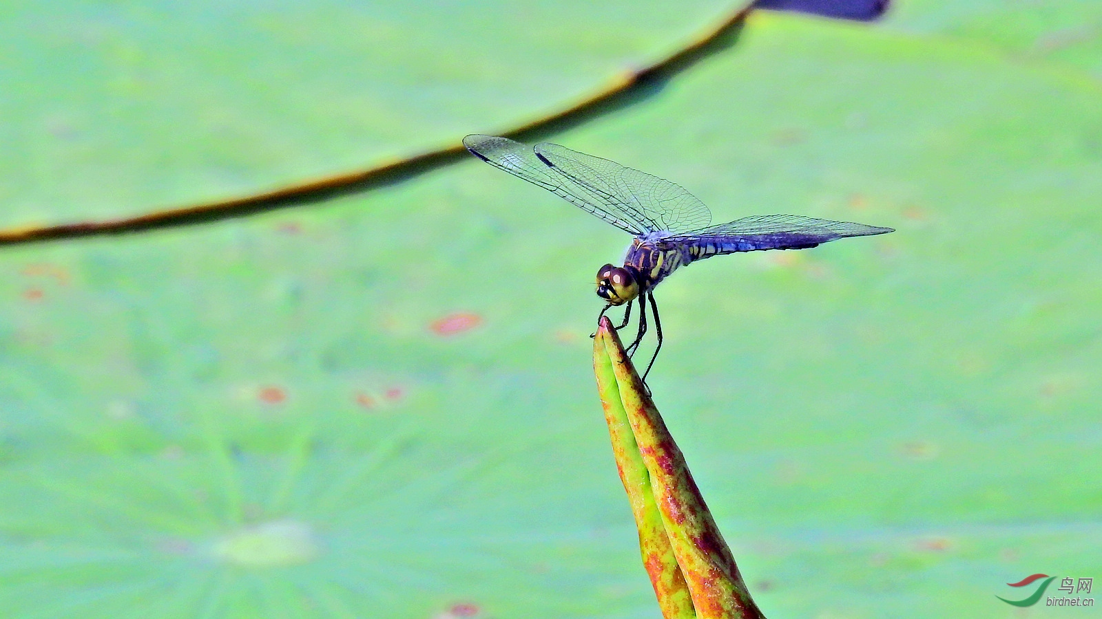 DSCN9158.JPG