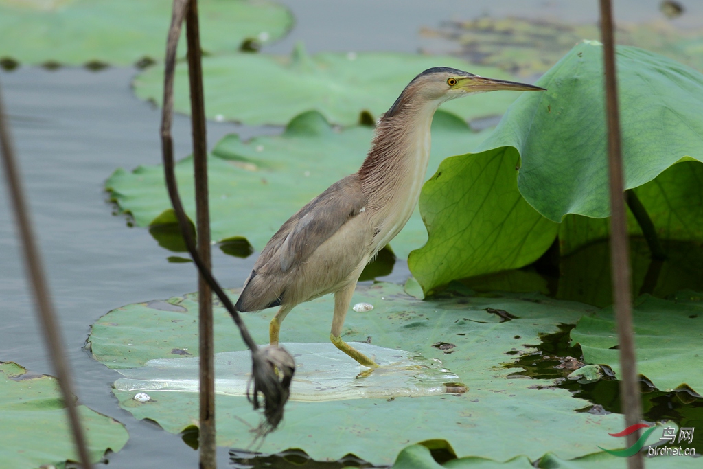 367A8121_����.jpg
