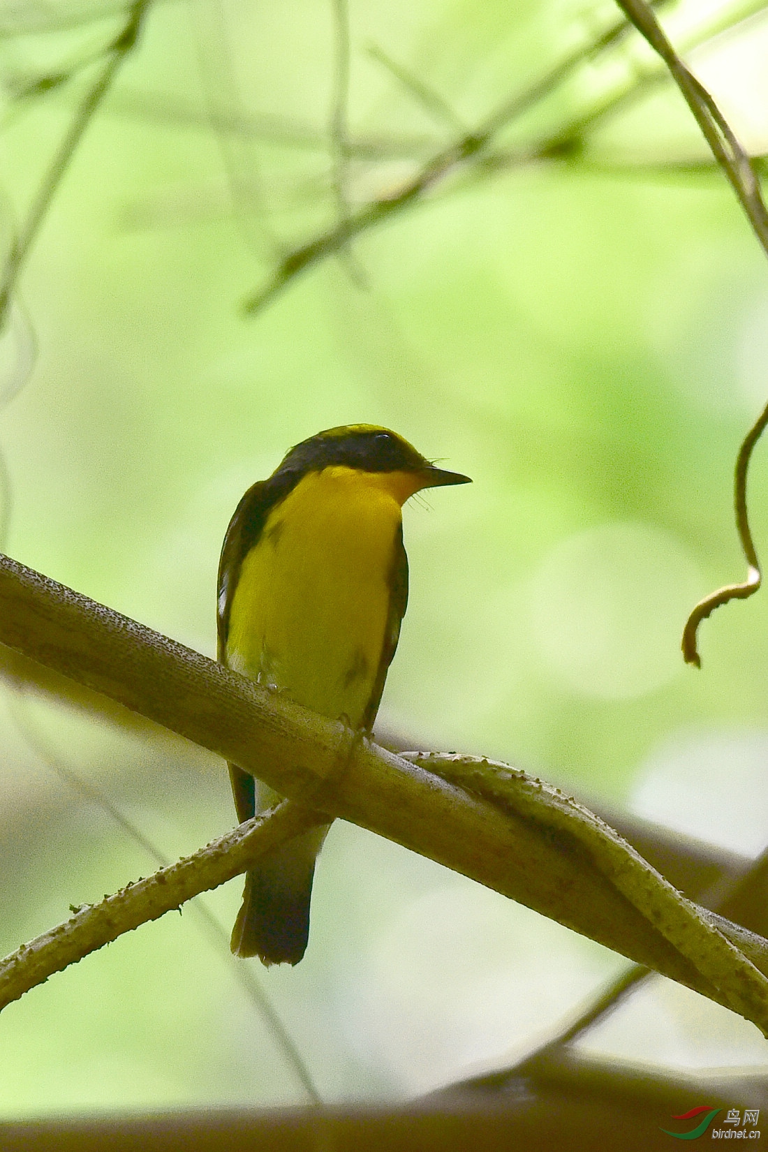 DSC_0094.JPG