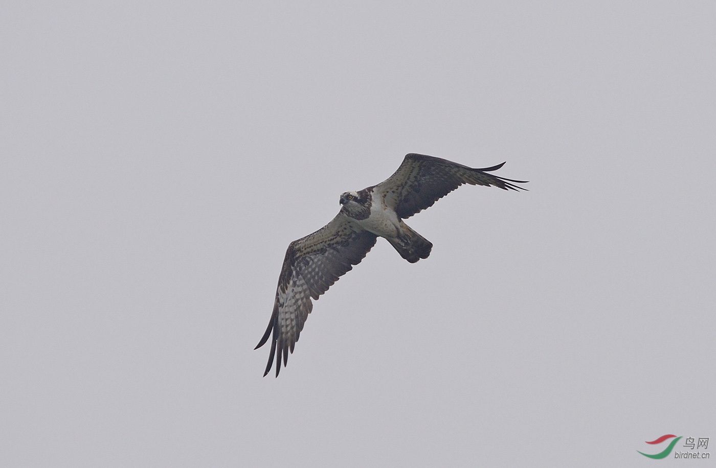 D04_2125.jpg