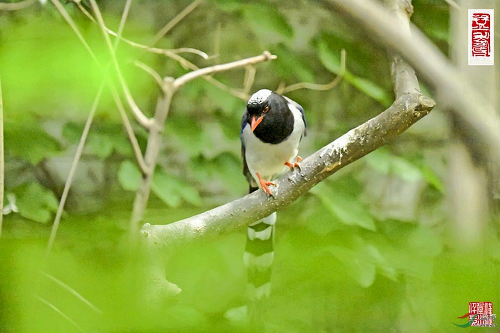 070BA184-3C53-48DF-B0F8-1C9BB6BB8D74.jpeg