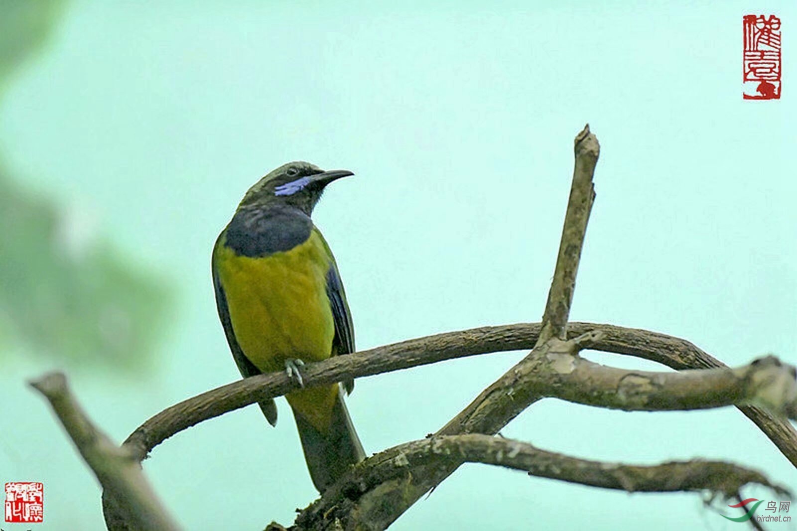7DB78381-7107-4022-B664-6FCF0ED4E5C5.jpeg