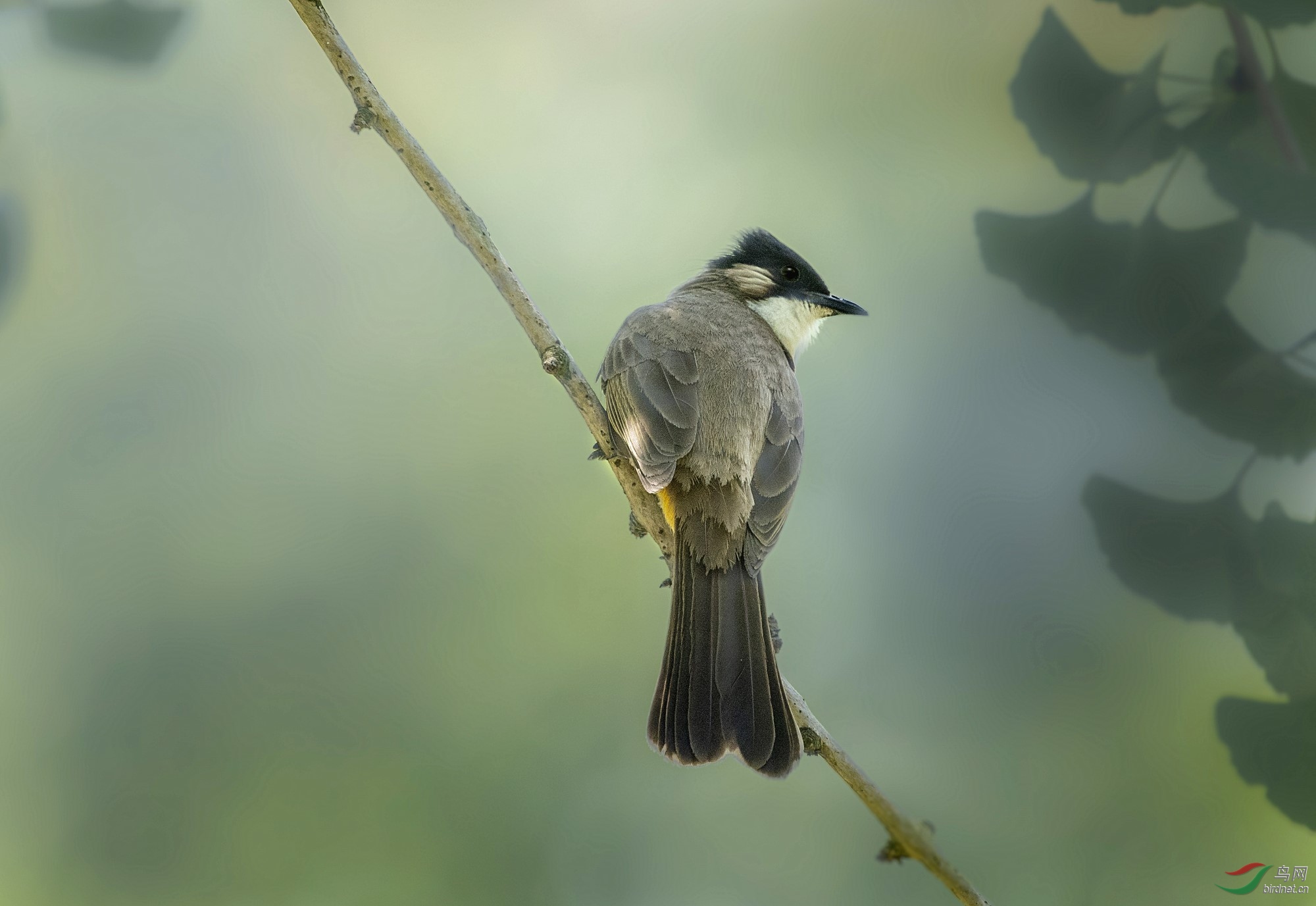 DSC_7071_����.jpg