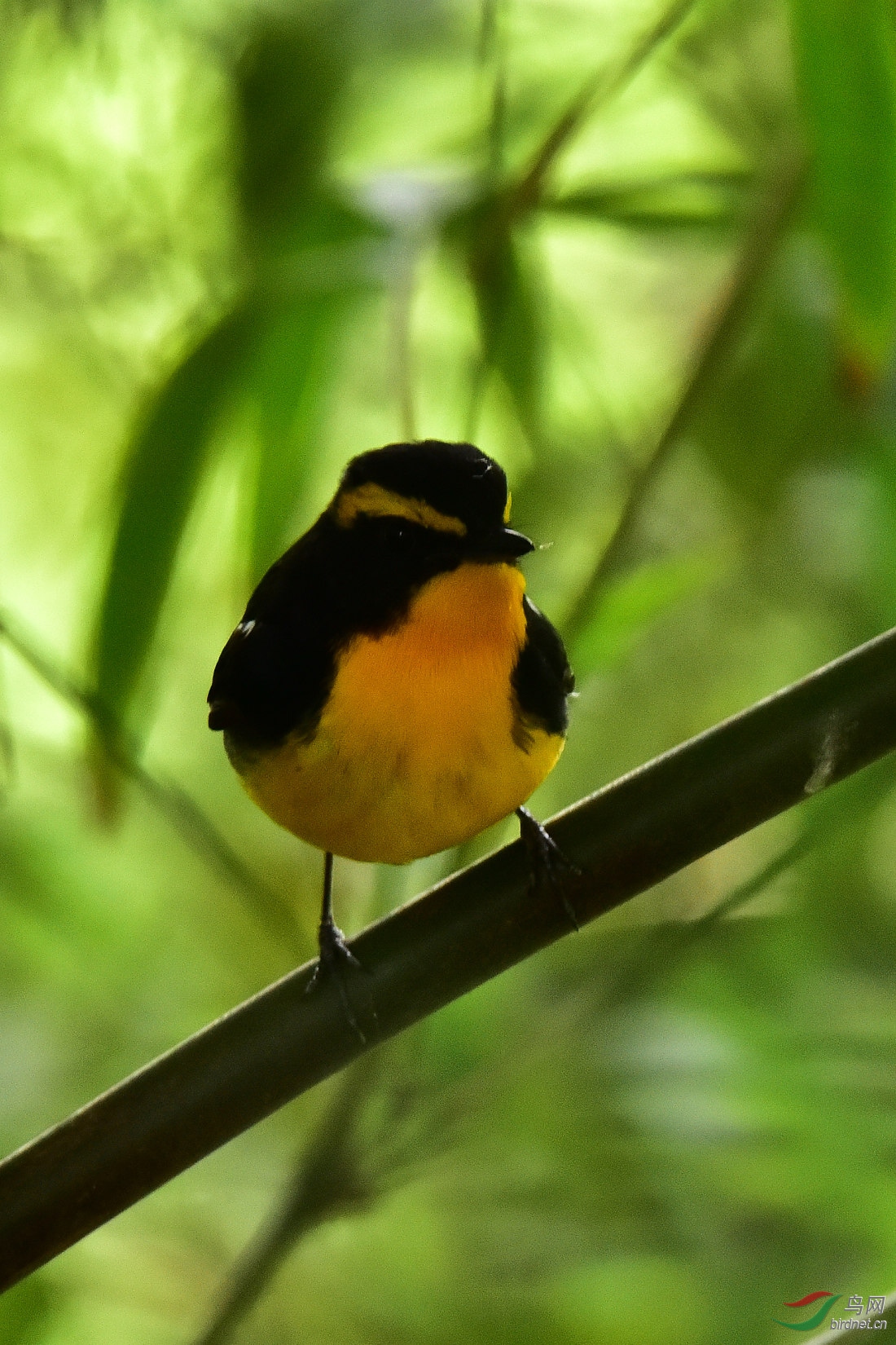 DSC_0098.JPG