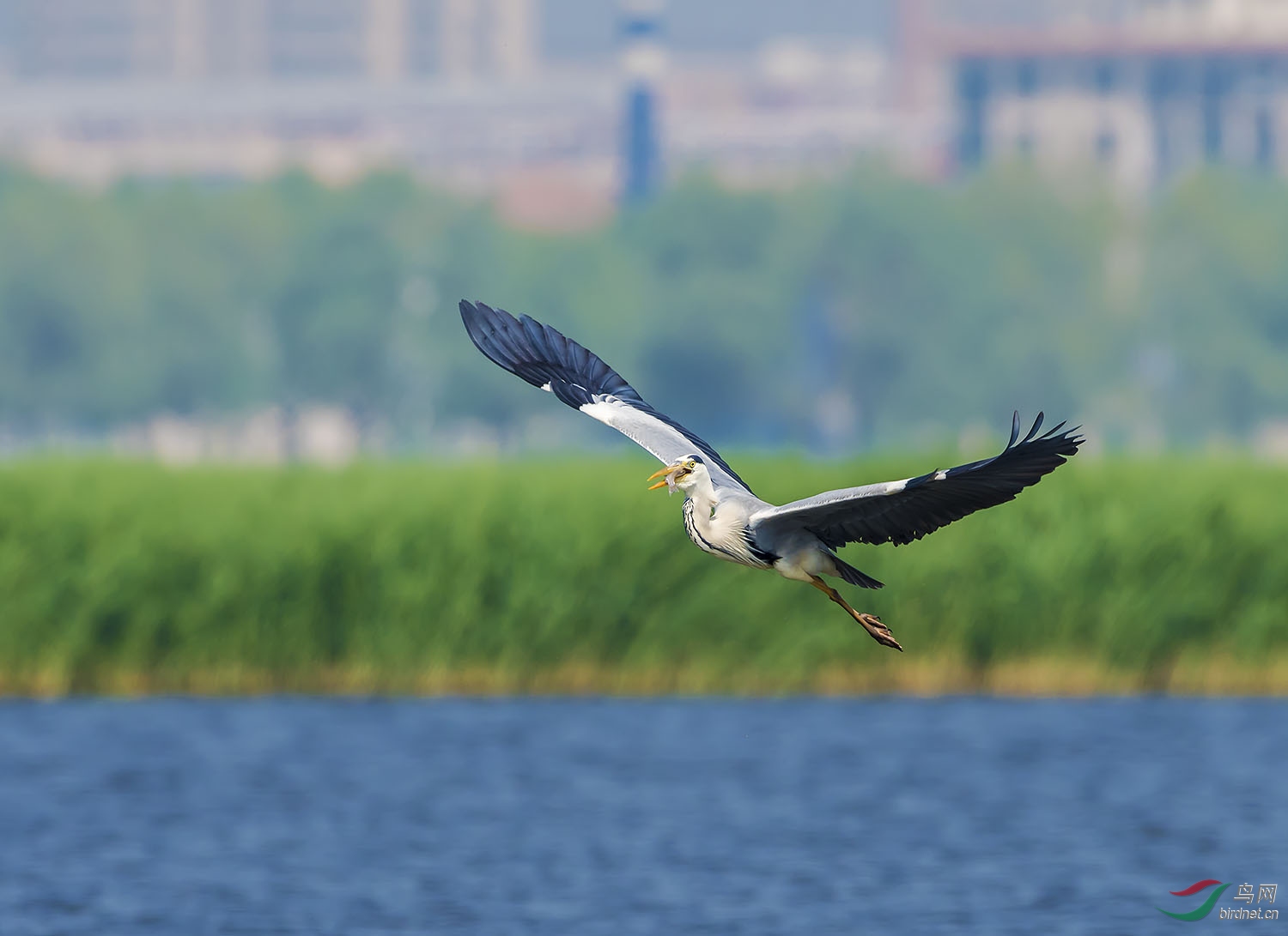 DSC_5750.jpg