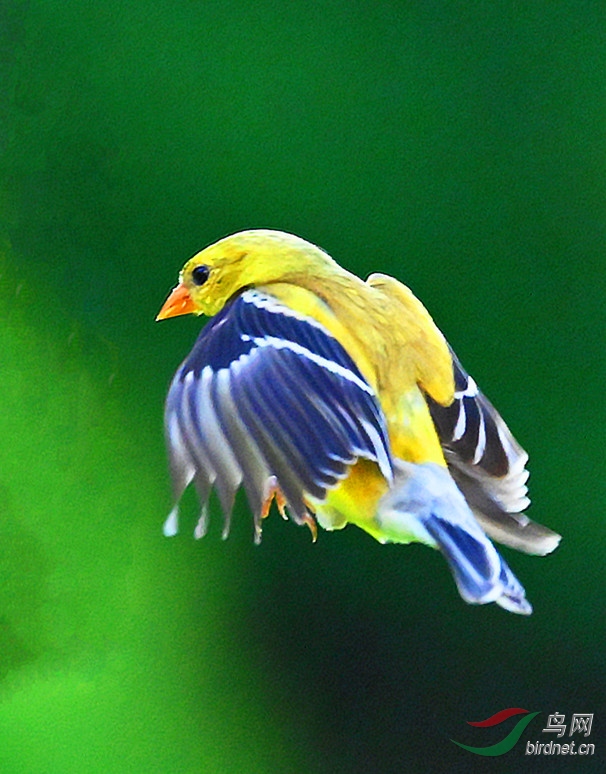 DSC_4828-_����.jpg
