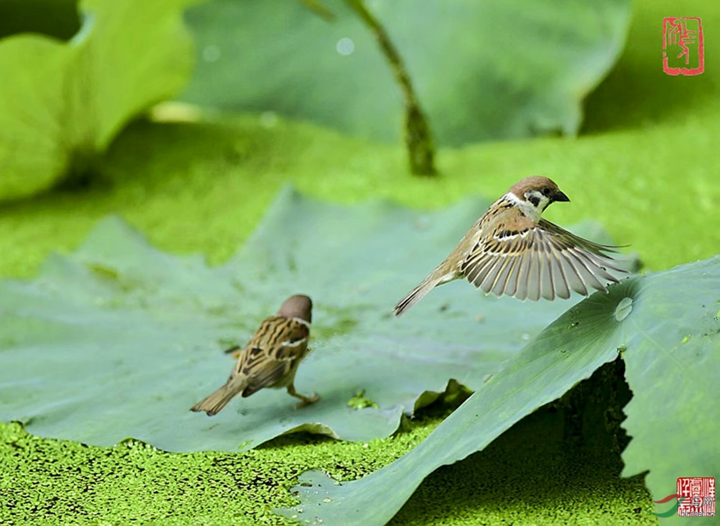 D27B09FC-4EC7-41B0-8832-F079317C52AE.jpeg