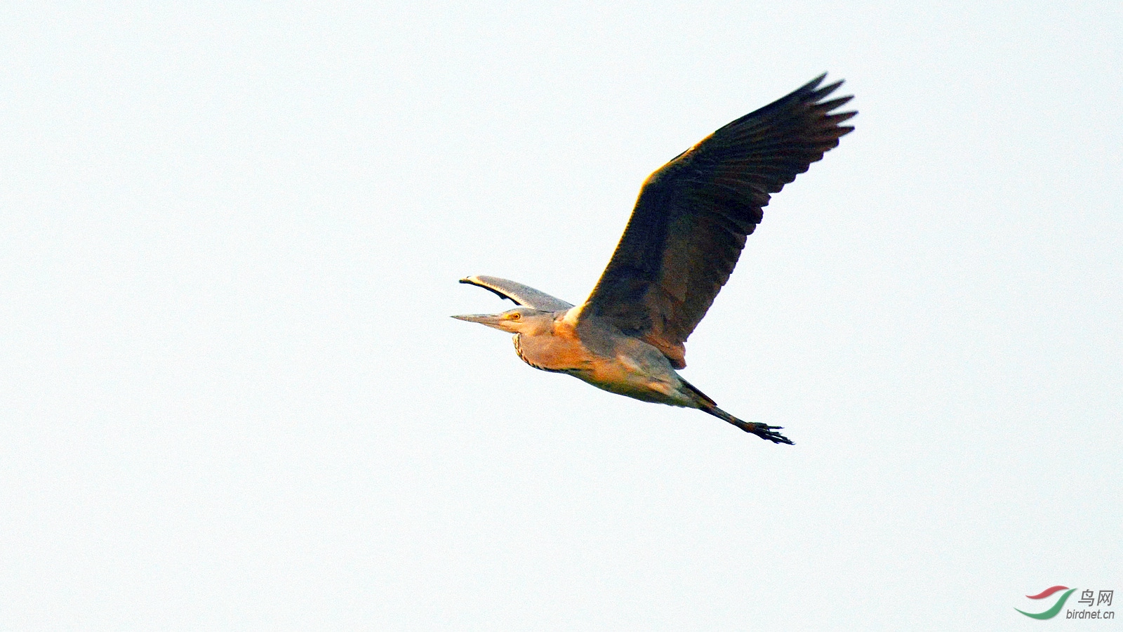 DSC_8647.JPG