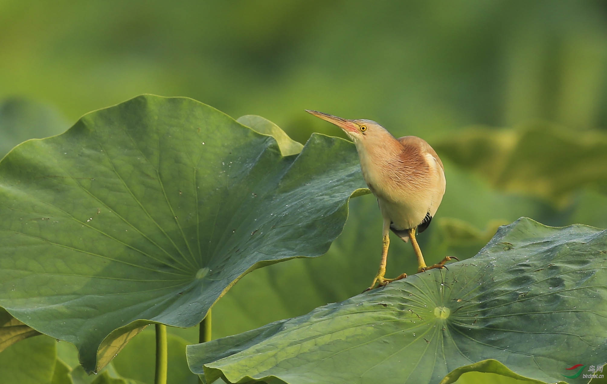 ����-- (45).jpg