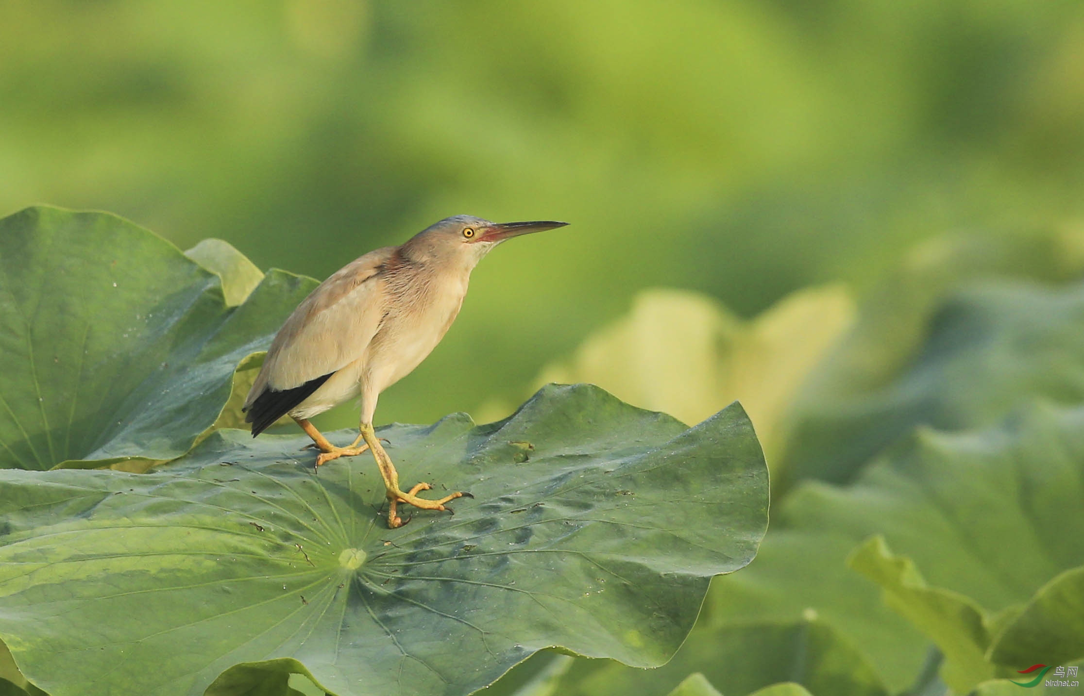 ����-- (50).jpg