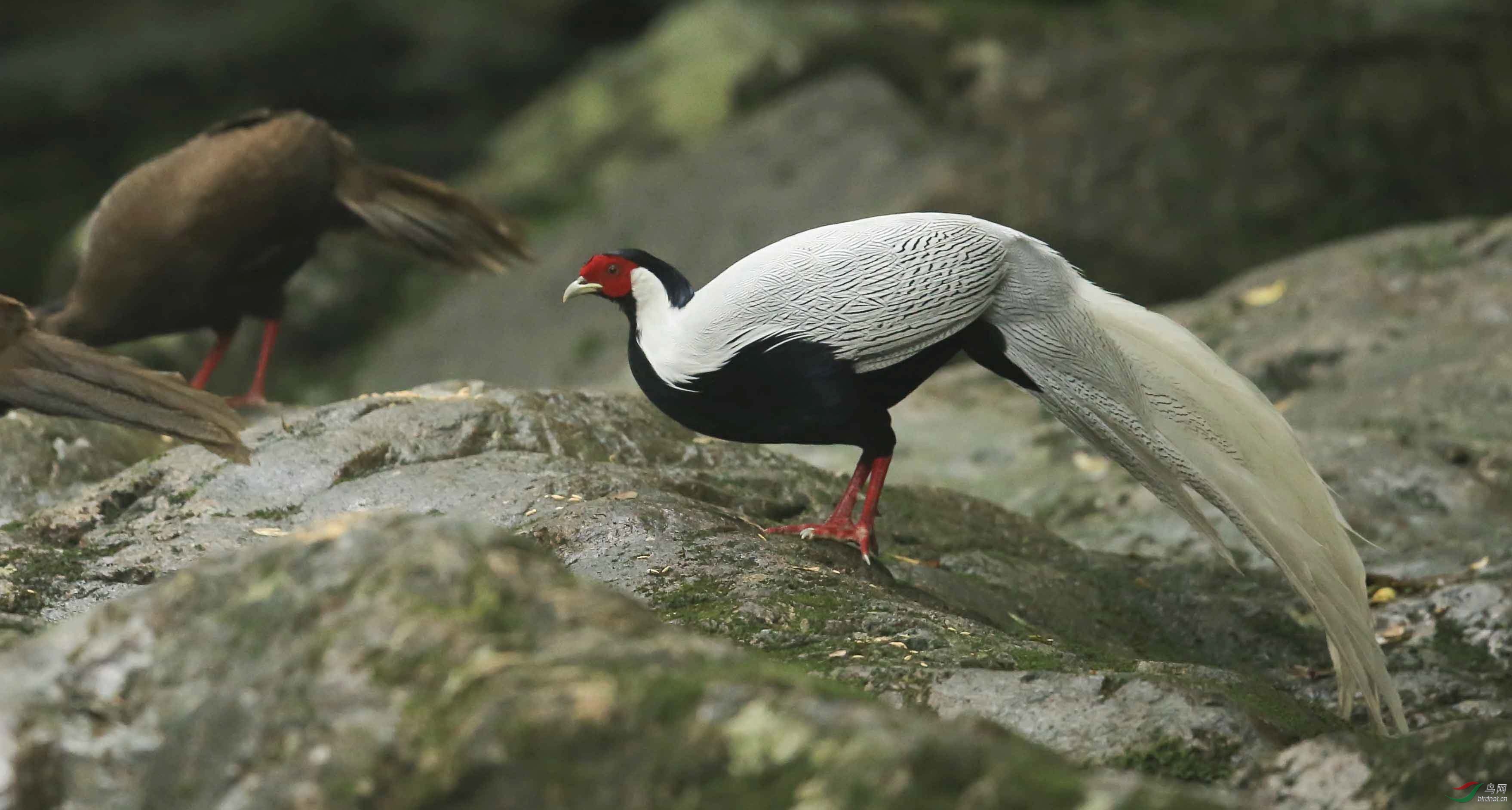 �������� (5).jpg