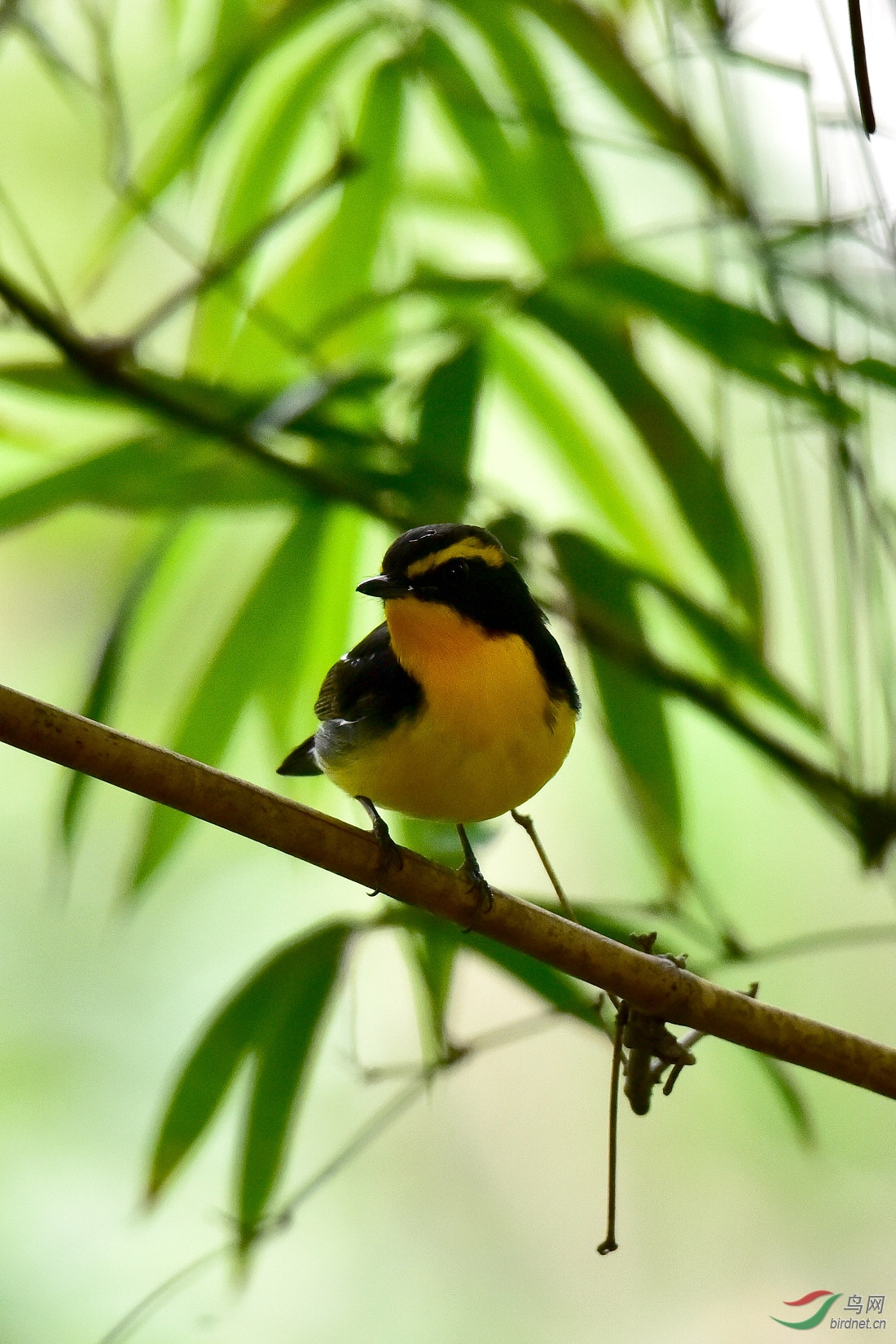 DSC_0107.JPG