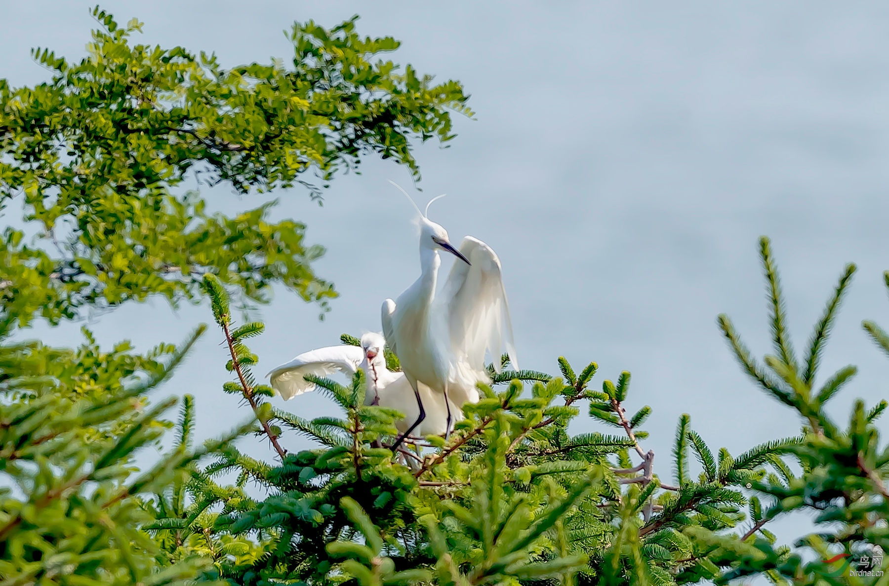 _K8I6175  01_����_����.jpg