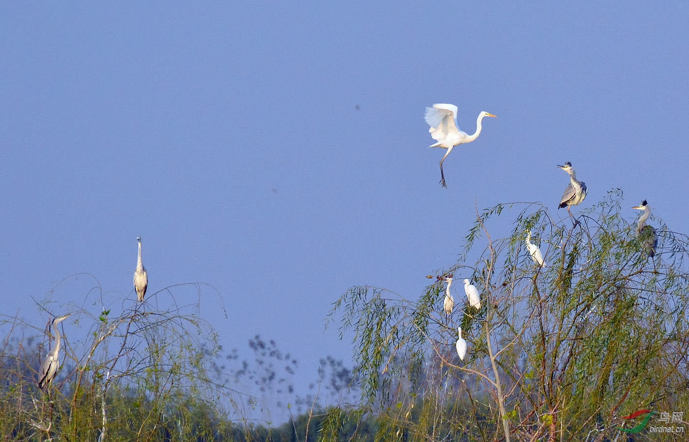 DSC_5660.JPG