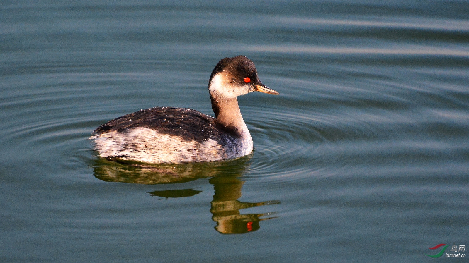 DSC_6314.JPG