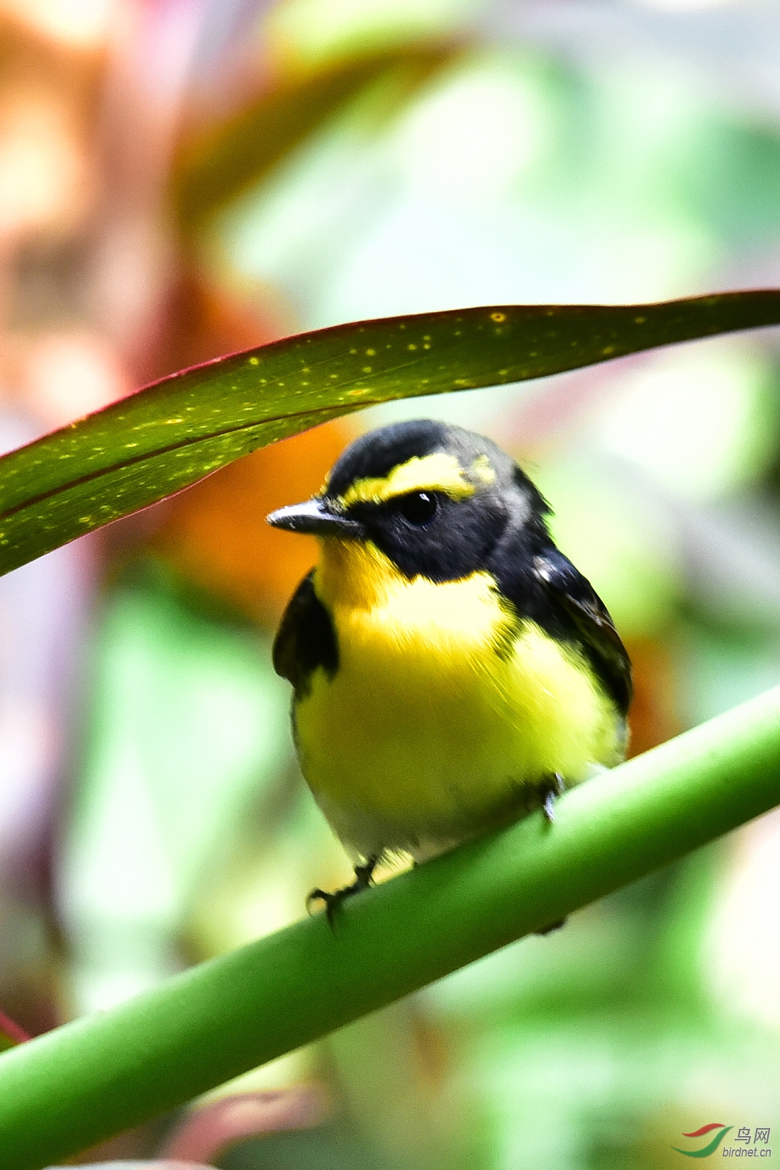 DSC_0118.JPG