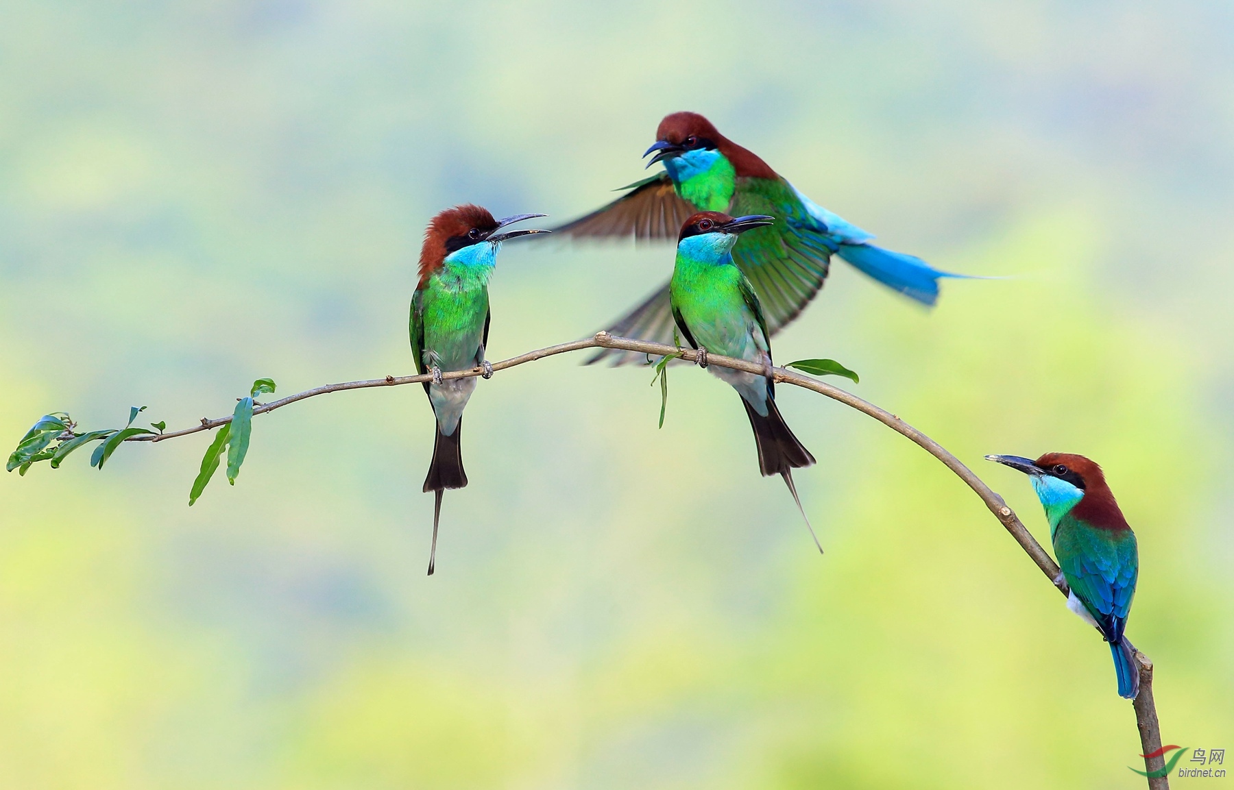 2019-06-04 16-29-34 (4).JPG