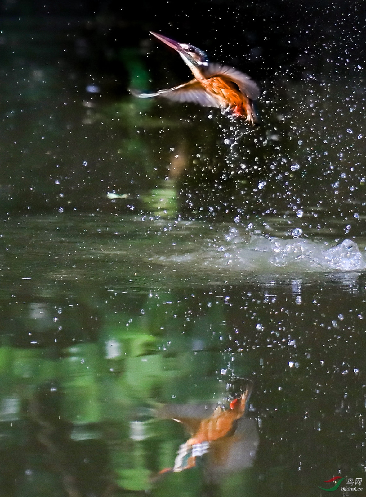 006�ɳ�ˮ��  ������ ��_����.jpg