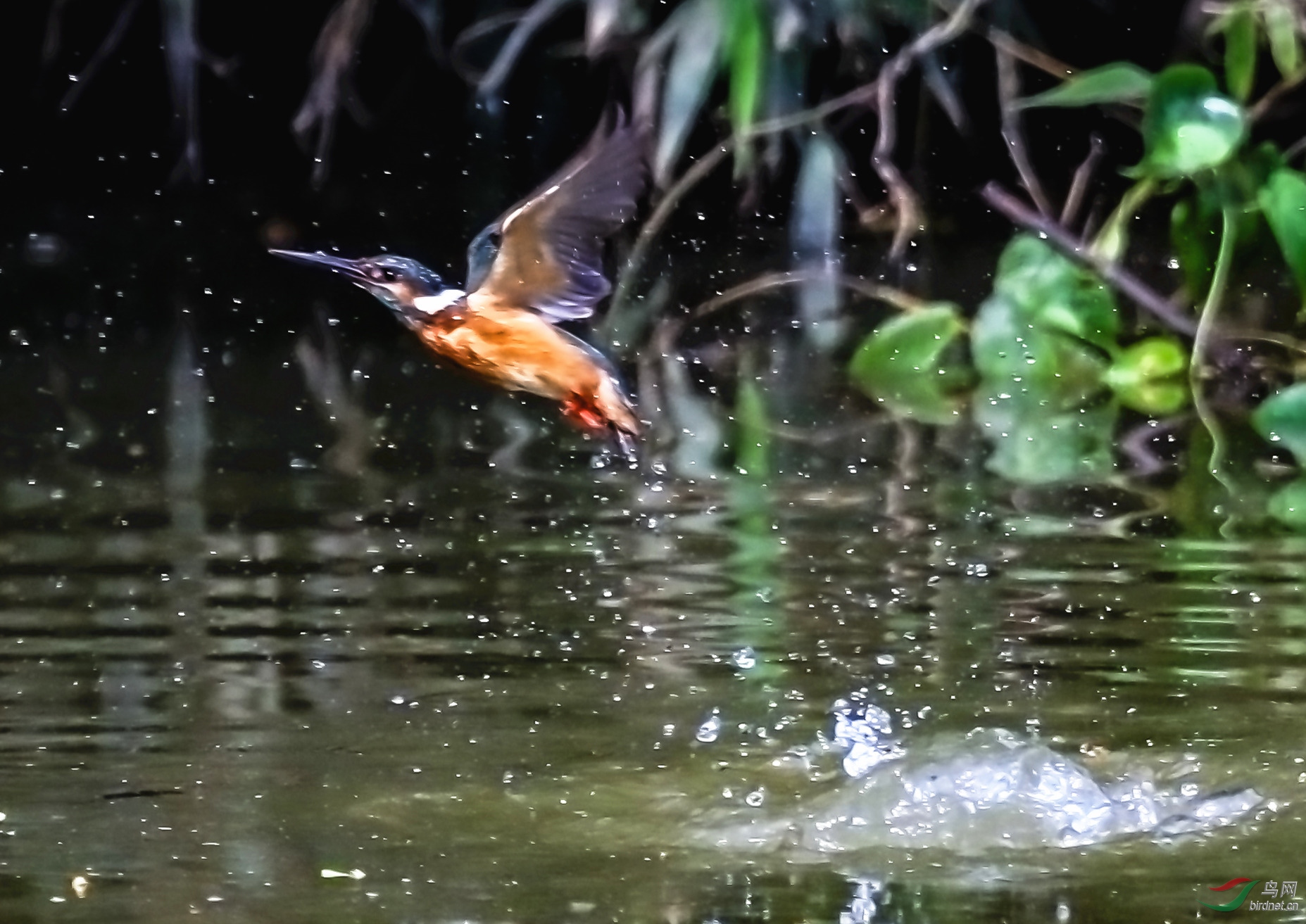 005��ˮ��С��  ������ ��_����.jpg