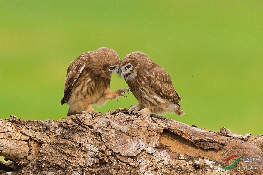 DSC_8817-2.jpg