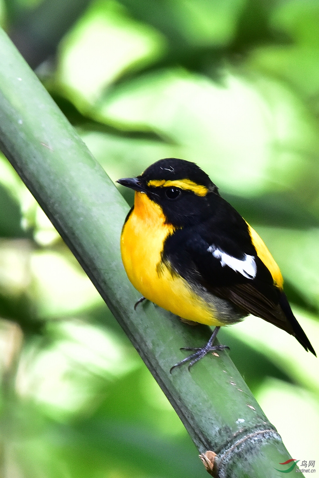 DSC_0121.JPG