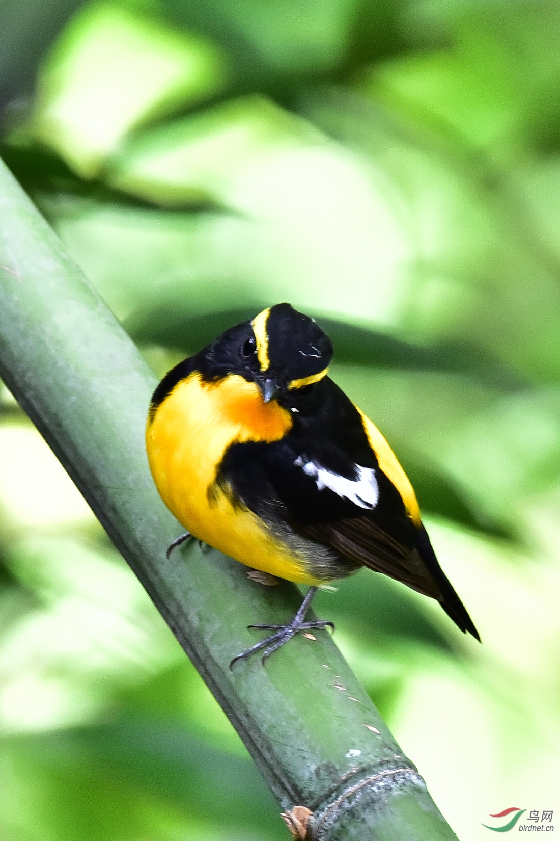 DSC_0125.JPG