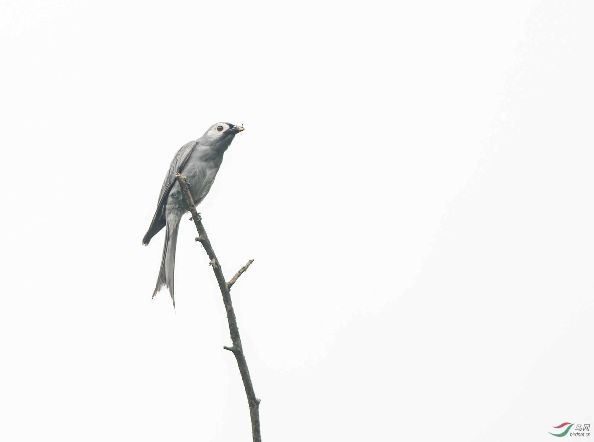 DSC_5876-1.jpg